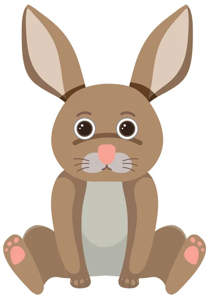 扁平风格的可爱兔子 孤立的插图 — 图库矢量图片