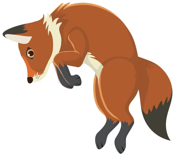 Ein Fuchs Der Isoliert Springt — Stockvektor