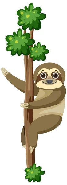 Sloth Klimmen Boom Geïsoleerde Illustratie — Stockvector