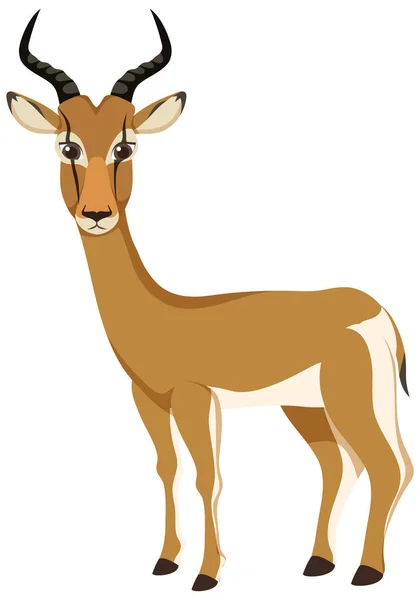 Gazelle Zeichentrickfigur Isolierte Illustration — Stockvektor