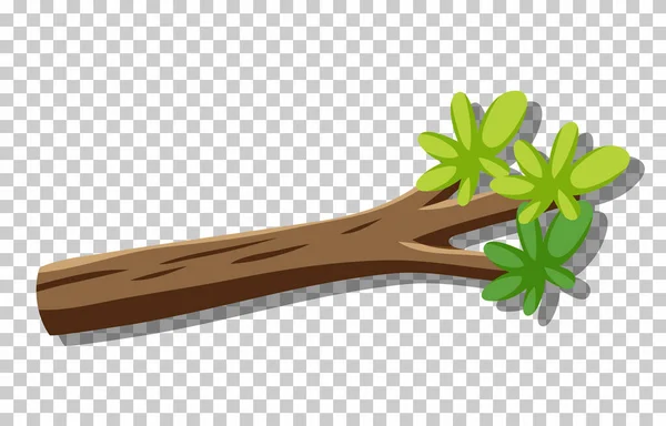 Isolated Branch Tree Illustration — Stockový vektor