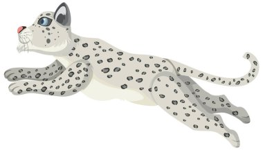 Kar leoparı beyaz arkaplan resimlerinde izole edildi