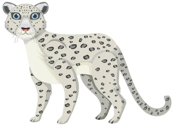 Snow Leopard Isolated White Background Illustration — 스톡 벡터
