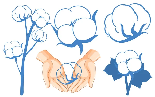 Set Cotton Flowers Isolated Illustration — Image vectorielle