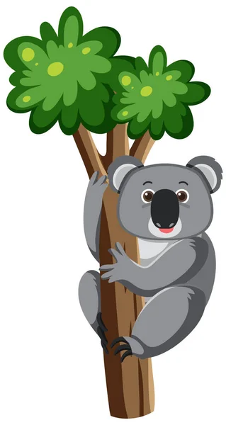 Koala Climb Tree Cartoon Style Illustration — Stock Vector