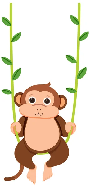 Mono Colgando Liana Ilustración — Foto de Stock