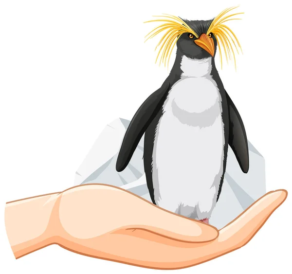 Rockhopper Penguin Standing Human Hand Illustration — Stockfoto