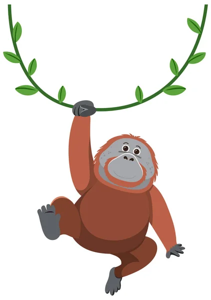 Orangutan Hanging Liana Illustration — Stock Vector