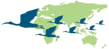 Siluet leylek kuşları uçuyor ve dünya haritası çizimi