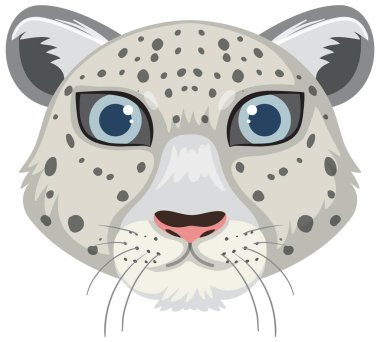 Kar leoparı beyaz arkaplan resimlerinde izole edildi