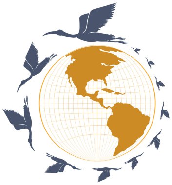 Siluet leylek kuşları Dünya 'nın etrafında uçuşuyorlar.