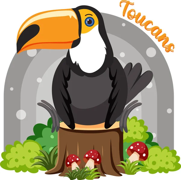 Toucan Madár Rajzfilm Stílusú Illusztráció — Stock Vector