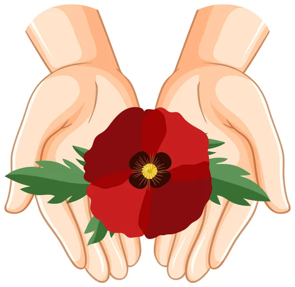 Human Hands Holding Poppy Flowers Illustration — Vector de stock