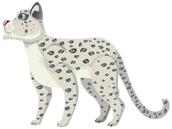 Sněžný Leopard Izolované Bílém Pozadí Ilustrace — Stockový vektor