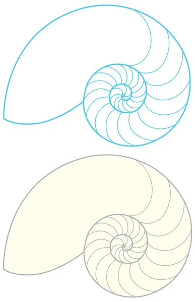 Nautilus Shell Outline White Background Illustration — Vetor de Stock