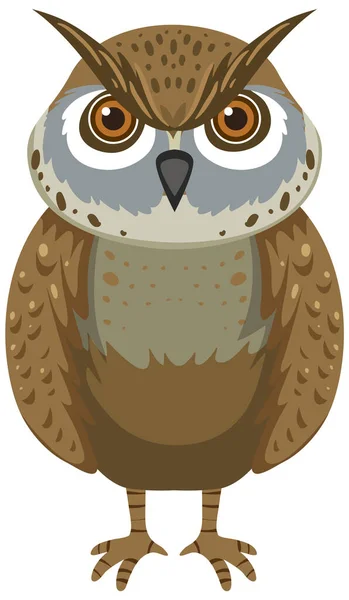 Front Owl Cartoon Style Illustration — стоковый вектор