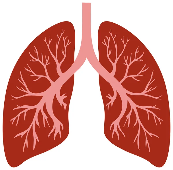 Lungs Human Icon Vector Illustration — Vetor de Stock