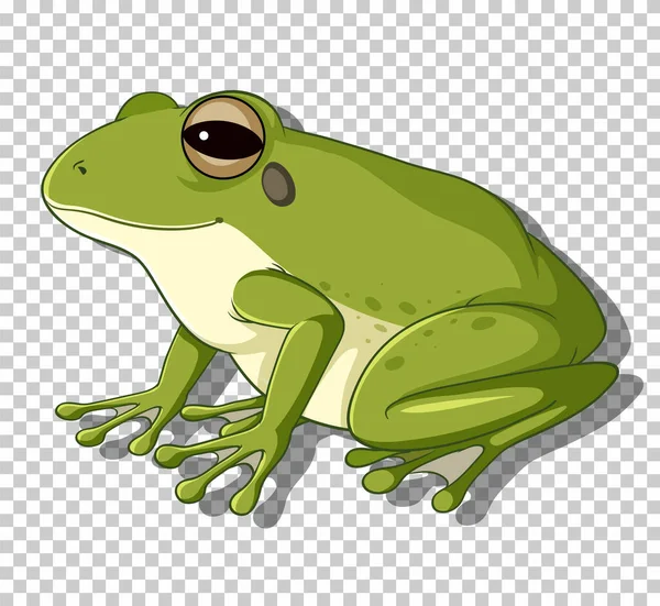 Green Frog Flat Cartoon Style Illustration — Vetor de Stock
