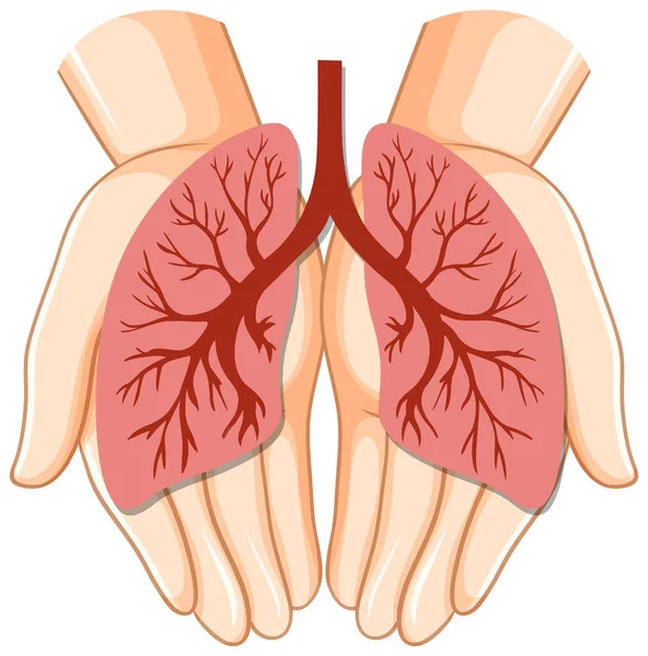 Lungs Human Icon Vector Illustration — Stok Vektör