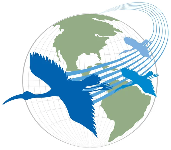 Silhouette Stork Birds Flying Earth Illustration — Vettoriale Stock