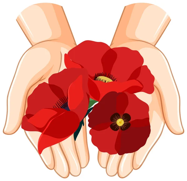 Human Hands Holding Poppy Flowers Illustration — Vector de stock