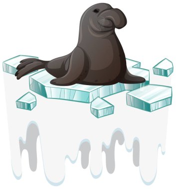 Seal on ice isolated illustration