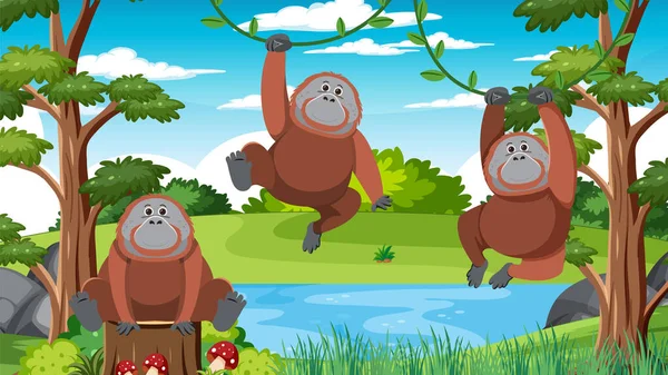 Orangutan Group Forest Illustration — Vector de stock