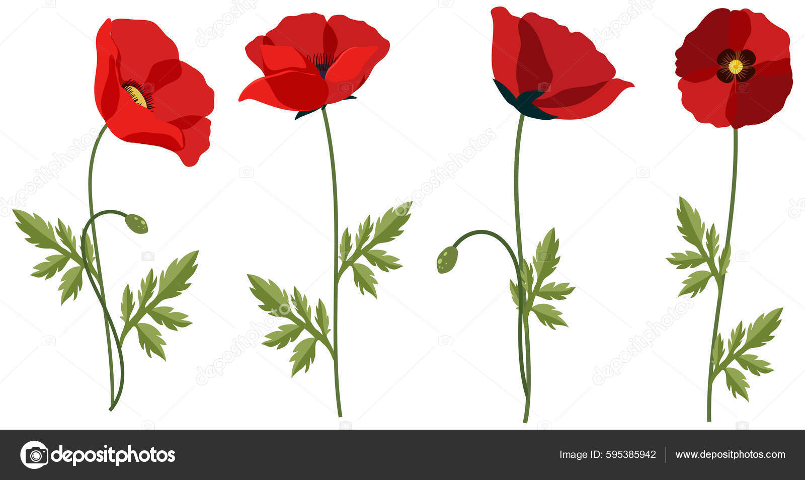 Set Poppy Flowers White Background Illustration Stock Vector by  ©blueringmedia 595385942, image size:1600x954
