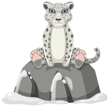 Kar leoparı beyaz arkaplan resimlerinde izole edildi