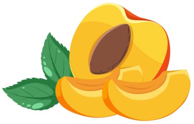 Half of peach isolated illustration