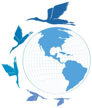 Siluet leylek kuşları Dünya üzerinde uçuyor.