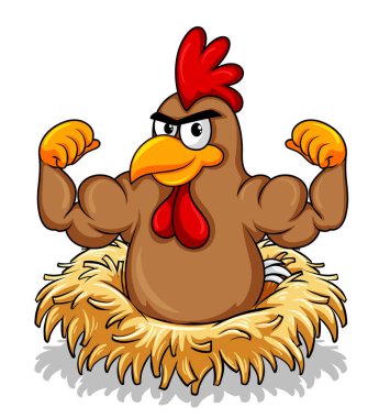 Muscular rooster cartoon character illustration
