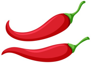 Red chili in cartoon style illustration