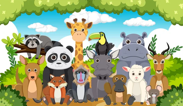 Zoo Groupe Animaux Dessin Animé Plat Illustration Style — Image vectorielle