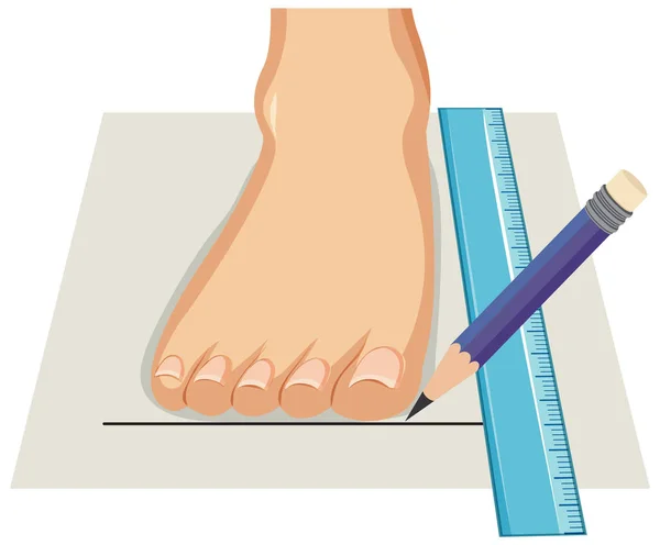 Measuring Foot Size Vector Illustration - Stok Vektor