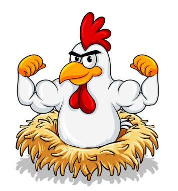 Muscular rooster cartoon character illustration