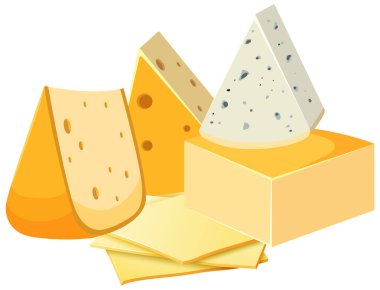 Four different cheeses vector illustration