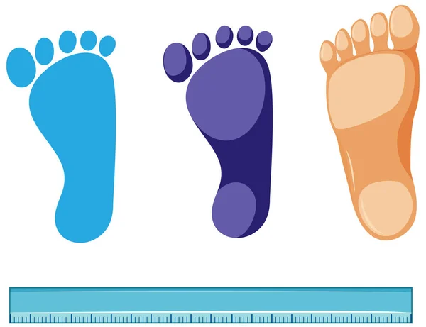 Measuring Foot Size Vector Illustration — Vetor de Stock