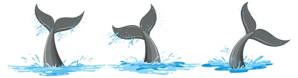 Tails Whale Water Set Illustration — Stockvektor