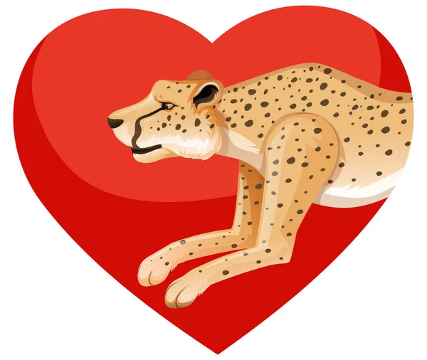 December Cheetah Day Icon White Background Illustration — Image vectorielle