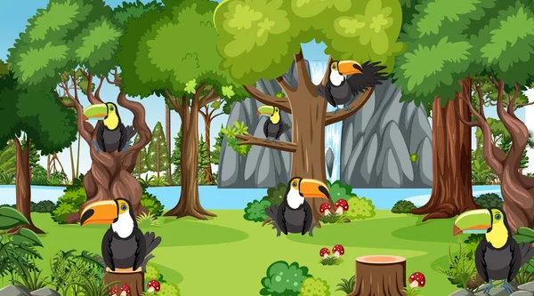 Toucan Birds Jungle Scene Illustration — Stockový vektor