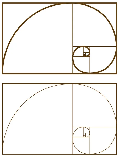 Fibonacci Sequence Mathematics Fibonacci Numbers Illustration — Stock Vector