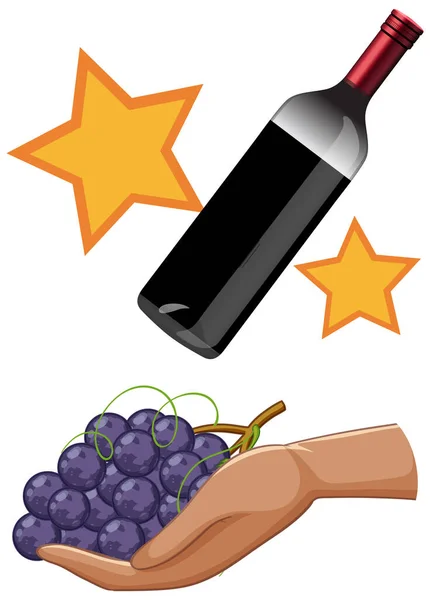 Wine Bottle Grapes Hand Illustration — Stok Vektör