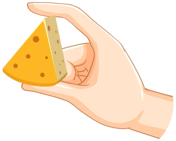 Hand Holding Piece Cheese Illustration - Stok Vektor