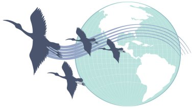 Silhouette stork birds flying with earth planet illustration