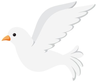 White dove bird isolated illustration