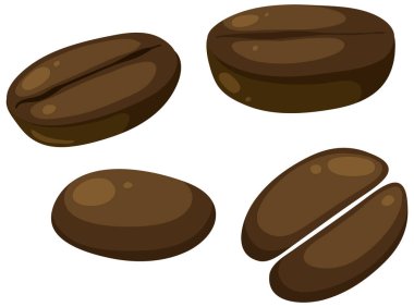 Set of different coffee beans illustration