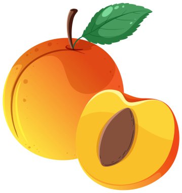 A full of peach and half of peach illustration