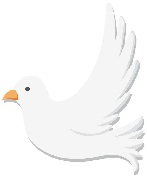 White dove bird isolated illustration