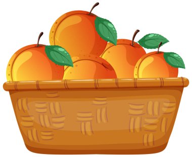 Peaches in a basket isolated illustration